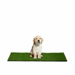 24 in. x 48 in. Indoor/Outdoor Greentic Artificial Grass Turf Puppy Pee Pad by Garland Rug 13 24 in. x 48 in. Indoor/Outdoor Greentic Artificial Grass Turf Puppy Pee Pad by Garland Rug -Cheap Bird & Wildlife Supplies Store garland rug waste disposal systems pm000m024048k8 31 1000