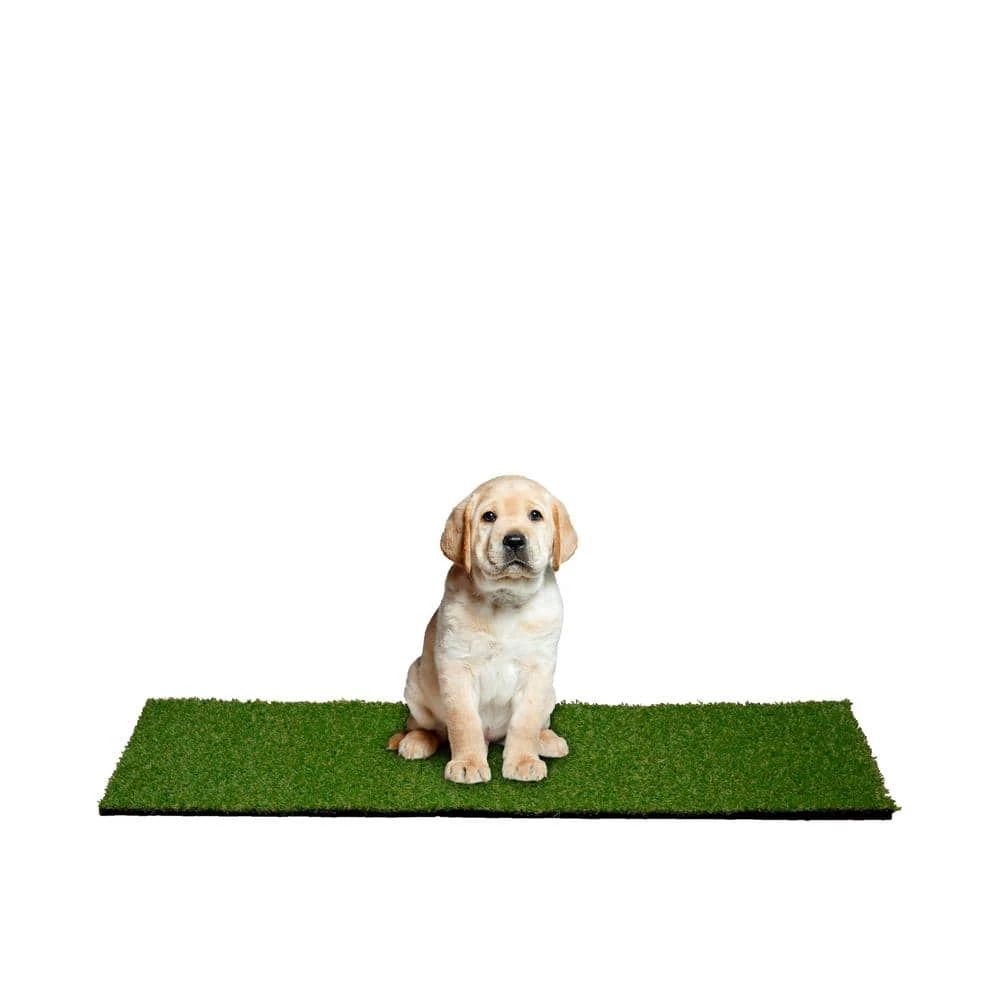 24 in. x 48 in. Indoor/Outdoor Greentic Artificial Grass Turf Puppy Pee Pad by Garland Rug 7 24 in. x 48 in. Indoor/Outdoor Greentic Artificial Grass Turf Puppy Pee Pad by Garland Rug - Image 7
