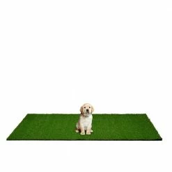 4 ft. x 6 ft. Indoor/Outdoor Greentic Artificial Grass Turf Puppy Pee Pad by Garland Rug 13 4 ft. x 6 ft. Indoor/Outdoor Greentic Artificial Grass Turf Puppy Pee Pad by Garland Rug -Cheap Bird & Wildlife Supplies Store garland rug waste disposal systems pm000m048072k8 31 1000
