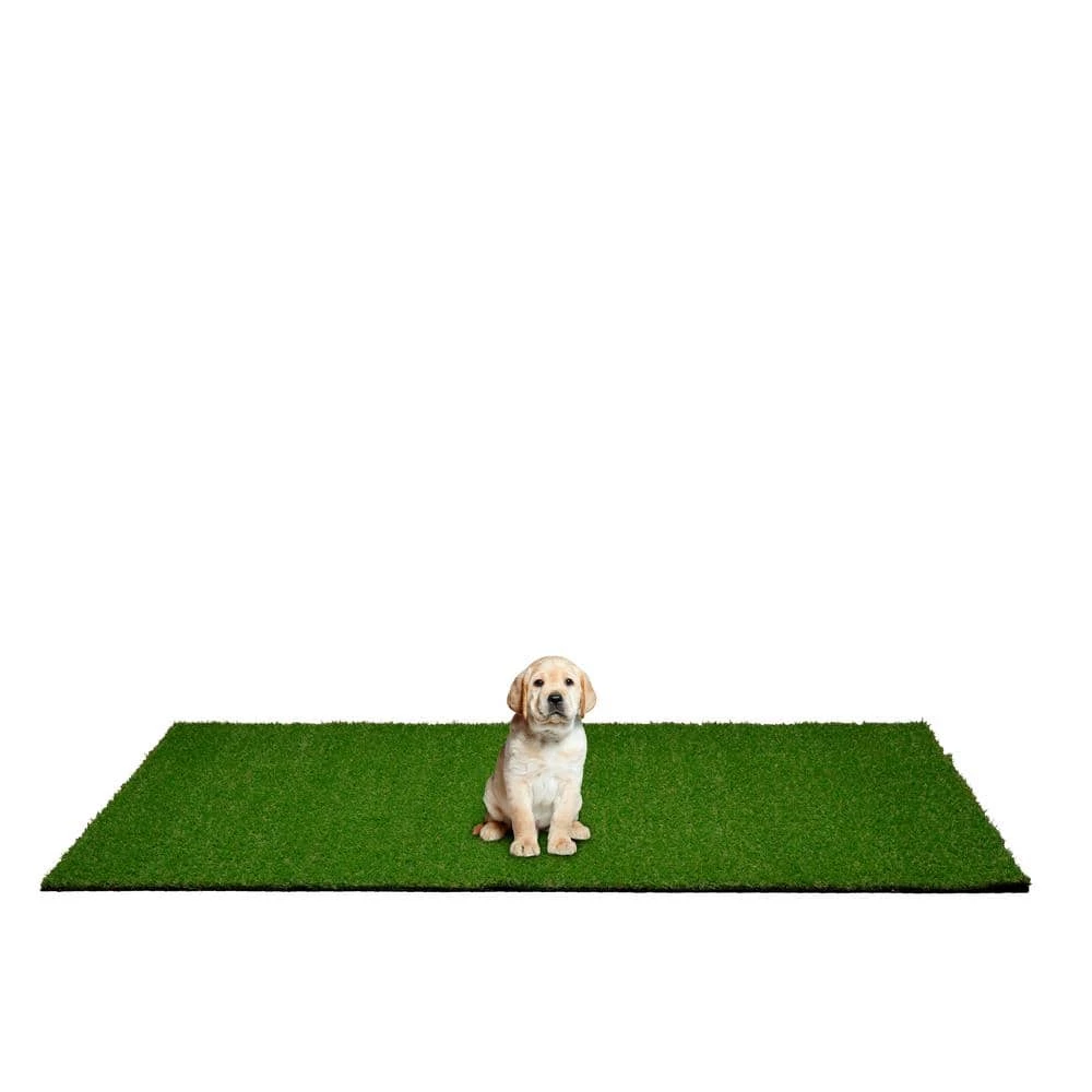4 ft. x 6 ft. Indoor/Outdoor Greentic Artificial Grass Turf Puppy Pee Pad by Garland Rug 7 4 ft. x 6 ft. Indoor/Outdoor Greentic Artificial Grass Turf Puppy Pee Pad by Garland Rug - Image 7