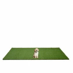 5 ft. x 7 ft. Indoor/Outdoor Greentic Artificial Grass Turf Puppy Pee Pad by Garland Rug -Cheap Bird & Wildlife Supplies Store garland rug waste disposal systems pm000m060084k8 31 1000