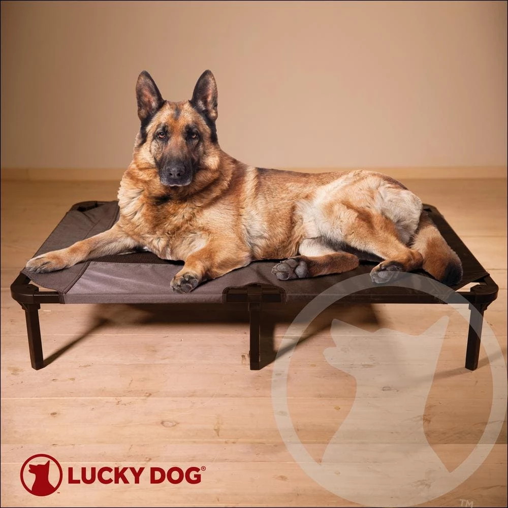 Extra Large 48 in. Gray Elevated Pet Bed Comfort Cot by Lucky Dog 1 Extra Large 48 in. Gray Elevated Pet Bed Comfort Cot by Lucky Dog