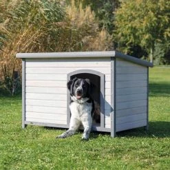 Natura Classic Dog House, Flat Hinged Roof, Adjustable Legs, Gray, Large by TRIXIE -Cheap Bird & Wildlife Supplies Store gray trixie dog houses 39563 31 1000