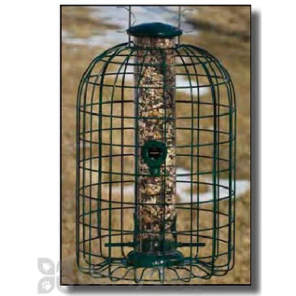 Wild Bird Caged Tube Bird Feeder (4-Ports) by AUDOBON 2 Wild Bird Caged Tube Bird Feeder (4-Ports) by AUDOBON - Image 2