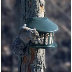 Squirrel Diner 2 Squirrel Feeder by Heritage Farms -Cheap Bird & Wildlife Supplies Store green heritage farms bird feeders 75590 4f 1000
