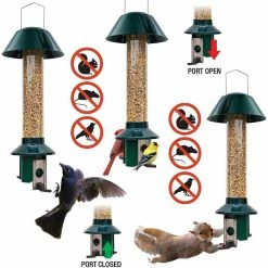 Metal Pest Off Squirrel Proof Mixed Seed and Sunflower Bird Feeder by Unbranded 11 Metal Pest Off Squirrel Proof Mixed Seed and Sunflower Bird Feeder by Unbranded -Cheap Bird & Wildlife Supplies Store green metal bird feeders pms001 fa 1000