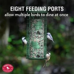 Green Squirrel Stumper Squirrel Resistant Metal Wild Bird Feeder - 3 lb. Capacity by Perky-Pet -Cheap Bird & Wildlife Supplies Store green perky pet bird feeders 114g 44 1000