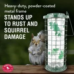Green Squirrel Stumper Squirrel Resistant Metal Wild Bird Feeder - 3 lb. Capacity by Perky-Pet -Cheap Bird & Wildlife Supplies Store green perky pet bird feeders 114g fa 1000