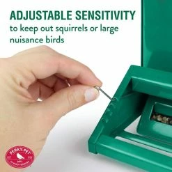 Squirrel-Be-Gone II Green Country Style Squirrel Resistant Metal Wild Bird Feeder - 12 lb. Capacity by Perky-Pet 18 Squirrel-Be-Gone II Green Country Style Squirrel Resistant Metal Wild Bird Feeder - 12 lb. Capacity by Perky-Pet -Cheap Bird & Wildlife Supplies Store green perky pet bird feeders 339 fa 1000