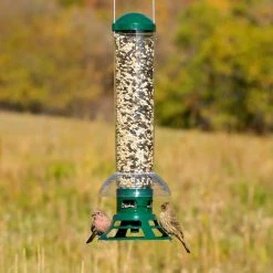 Squirrel Slammer Squirrel Resistant Wild Bird Feeder - 3.5 lb. Capacity by Perky-Pet 16 Squirrel Slammer Squirrel Resistant Wild Bird Feeder - 3.5 lb. Capacity by Perky-Pet -Cheap Bird & Wildlife Supplies Store green perky pet bird feeders 5141 2 1f 1000
