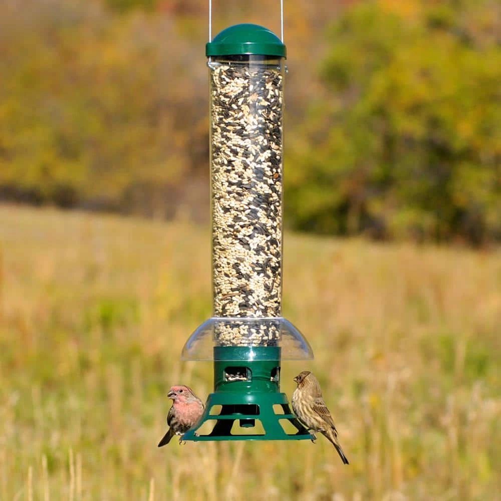 Squirrel Slammer Squirrel Resistant Wild Bird Feeder - 3.5 lb. Capacity by Perky-Pet 6 Squirrel Slammer Squirrel Resistant Wild Bird Feeder - 3.5 lb. Capacity by Perky-Pet - Image 6