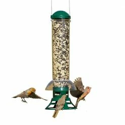 Squirrel Slammer Squirrel Resistant Wild Bird Feeder - 3.5 lb. Capacity by Perky-Pet
