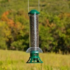 Squirrel Slammer Squirrel Resistant Wild Bird Feeder - 3.5 lb. Capacity by Perky-Pet 19 Squirrel Slammer Squirrel Resistant Wild Bird Feeder - 3.5 lb. Capacity by Perky-Pet -Cheap Bird & Wildlife Supplies Store green perky pet bird feeders 5141 2 76 1000