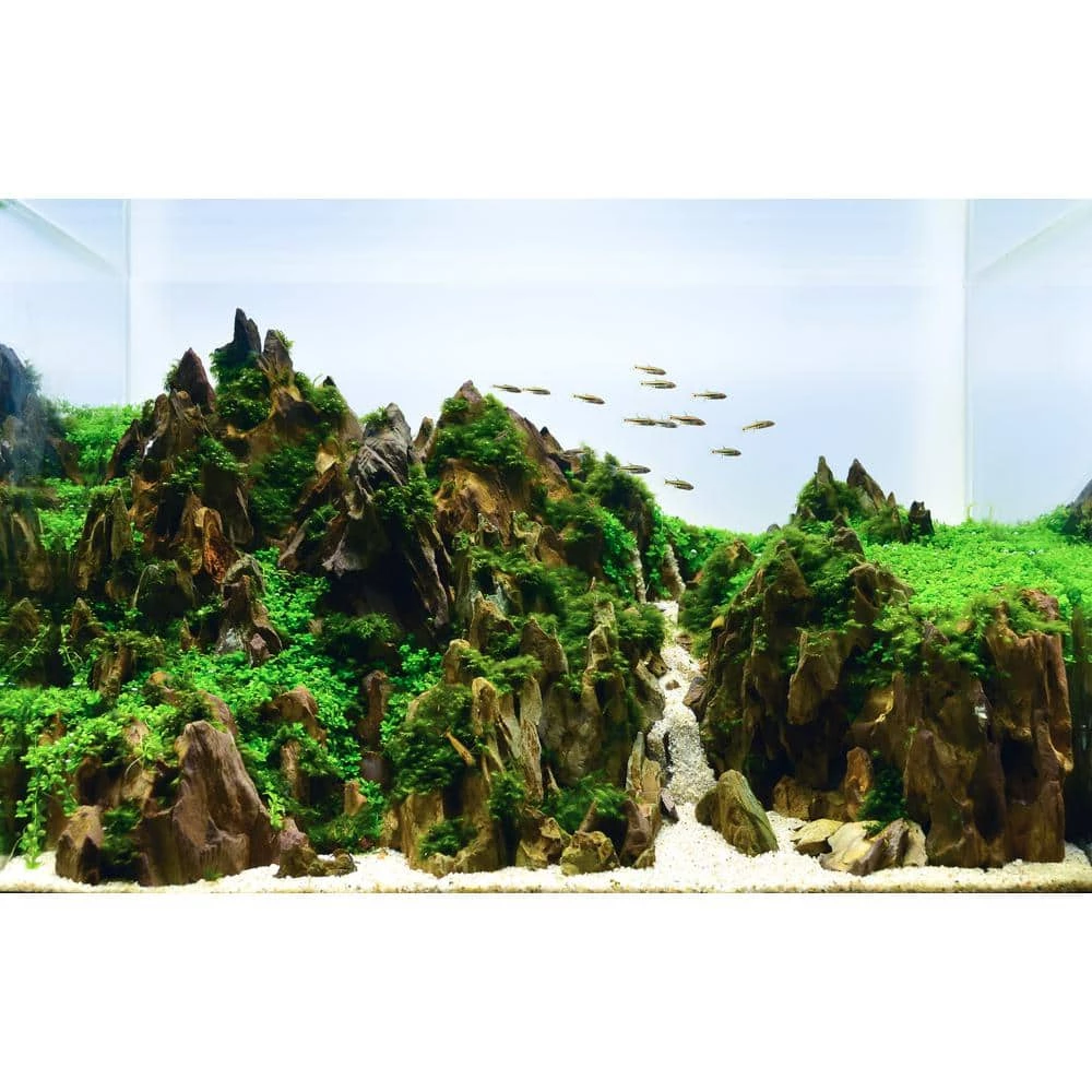 Dragon Stone Aquarium Rocks Amazing Ohko Stones to Create The Perfect Habitat for Your Aquarium or Terrarium (10 lbs.) by Unbranded 6 Dragon Stone Aquarium Rocks Amazing Ohko Stones to Create The Perfect Habitat for Your Aquarium or Terrarium (10 lbs.) by Unbranded - Image 6
