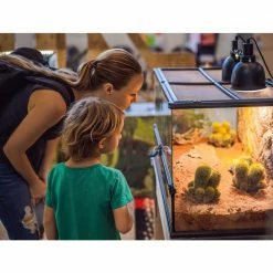 Dragon Stone Aquarium Rocks Amazing Ohko Stones to Create The Perfect Habitat for Your Aquarium or Terrarium (20 lbs.) by Unbranded -Cheap Bird & Wildlife Supplies Store habitats decor 0040002 4f 1000