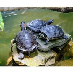 Dragon Stone Aquarium Rocks Amazing Ohko Stones to Create The Perfect Habitat for Your Aquarium or Terrarium (40 lbs.) by Unbranded 11 Dragon Stone Aquarium Rocks Amazing Ohko Stones to Create The Perfect Habitat for Your Aquarium or Terrarium (40 lbs.) by Unbranded -Cheap Bird & Wildlife Supplies Store habitats decor 0040003 44 1000