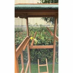 Outdoor Wooden Bird Cage by Hanover -Cheap Bird & Wildlife Supplies Store hanover accessories hanbc0101 cdr c3 1000