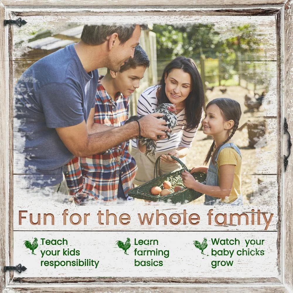 Outdoor Wooden Chicken Coop with Ram by Hanover 2 Outdoor Wooden Chicken Coop with Ram by Hanover - Image 2