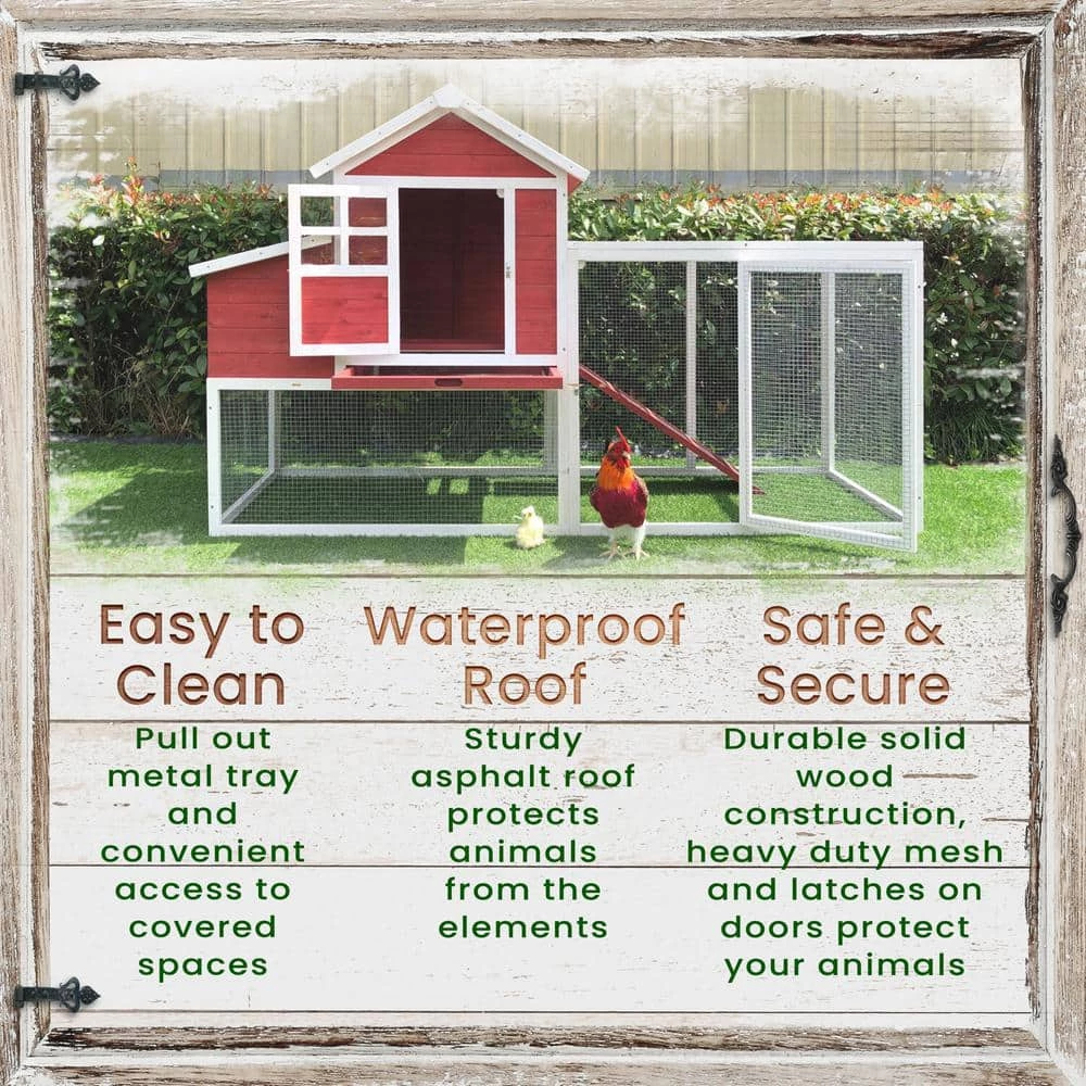 Outdoor Elevated Wooden Chicken Coop by Hanover 3 Outdoor Elevated Wooden Chicken Coop by Hanover - Image 3