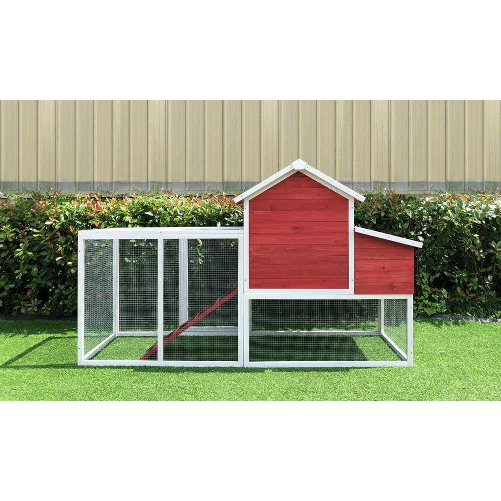 Outdoor Elevated Wooden Chicken Coop by Hanover 11 Outdoor Elevated Wooden Chicken Coop by Hanover - Image 11