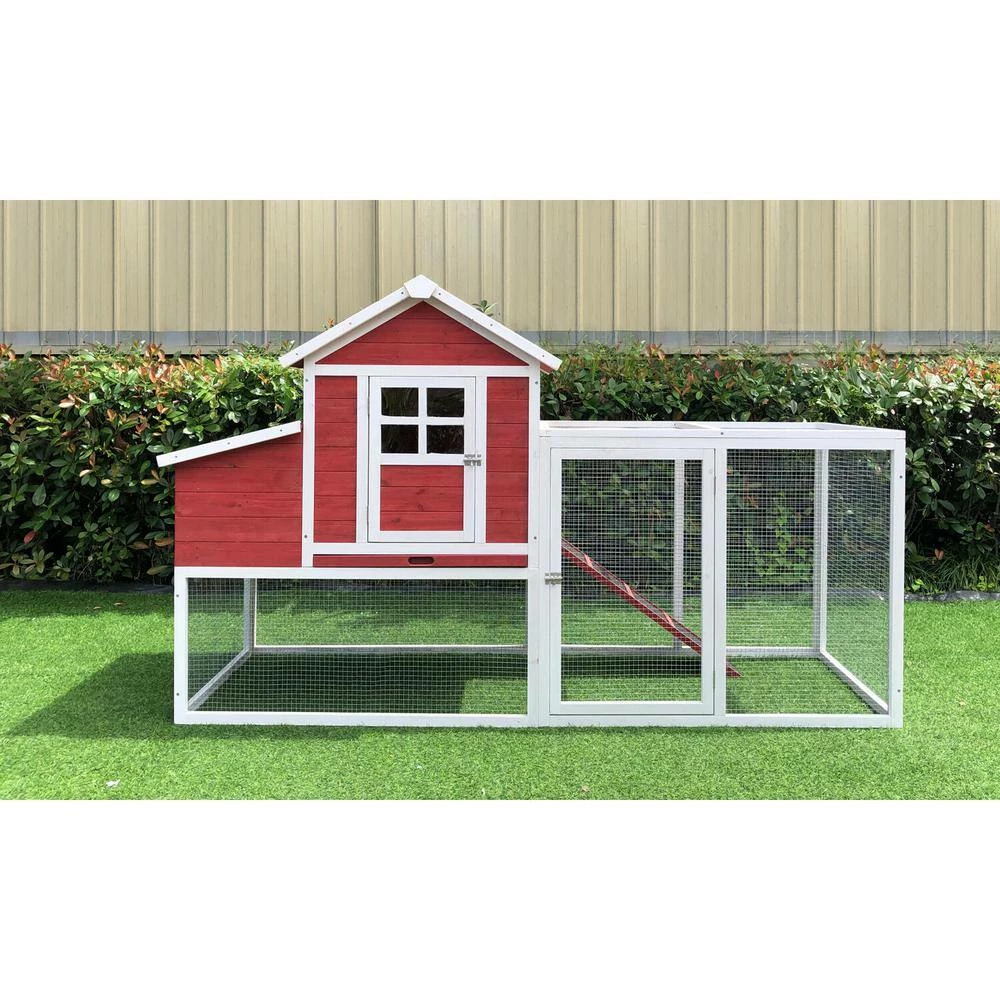 Outdoor Elevated Wooden Chicken Coop by Hanover 13 Outdoor Elevated Wooden Chicken Coop by Hanover - Image 13