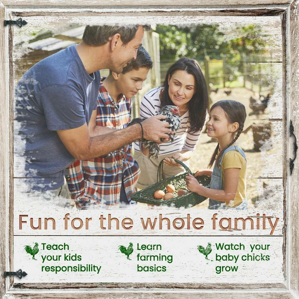 Outdoor Elevated Wooden Chicken Coop by Hanover 4 Outdoor Elevated Wooden Chicken Coop by Hanover - Image 4