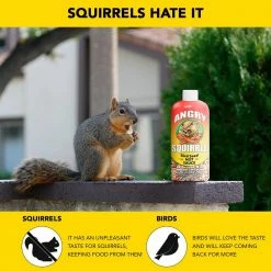 8 oz. Angry Squirrel Bird Seed Hot Sauce by Harris -Cheap Bird & Wildlife Supplies Store harris bird seed food as 8 4f 1000