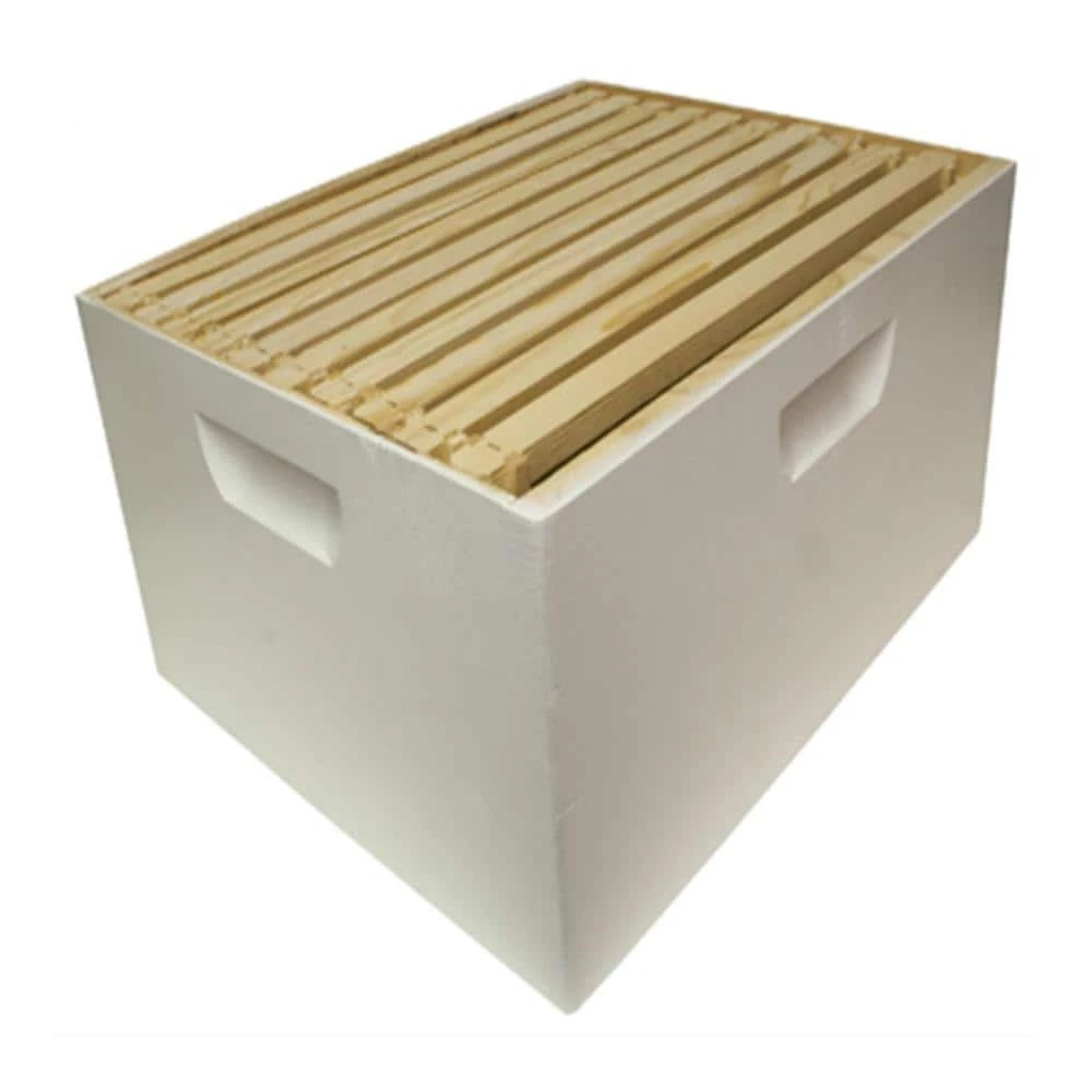 10 in. H x 16 in. W Assembled Deep Hive Box with 10 Frames and Foundation by HARVEST LANE HONEY 2 10 in. H x 16 in. W Assembled Deep Hive Box with 10 Frames and Foundation by HARVEST LANE HONEY - Image 2