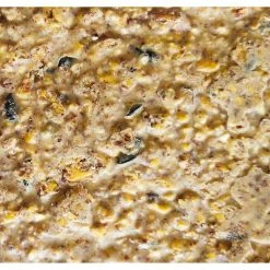 11.75 oz. Peanut Apple Premium Crafted Suet Cake (12-Pack) by Heath -Cheap Bird & Wildlife Supplies Store heath bird seed food ddc4 12 4f 1000