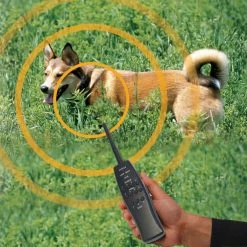 Express Train Remote 2 Dog Radio Trainer by High Tech Pet -Cheap Bird & Wildlife Supplies Store high tech pet fencing systems rt 2 1f 1000