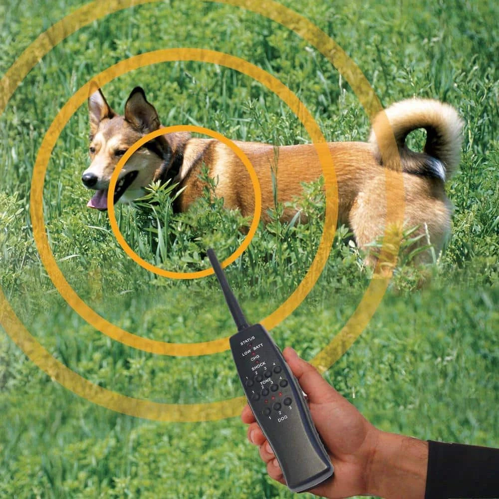 Express Train Remote 3 Dog Radio Trainer by High Tech Pet 4 Express Train Remote 3 Dog Radio Trainer by High Tech Pet - Image 4