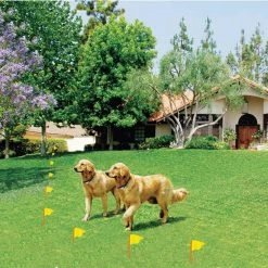 Humane Contain 50 Acre Multi-Function In-Ground Ultra Electronic Dog Fence by High Tech Pet -Cheap Bird & Wildlife Supplies Store high tech pet fencing systems x 10 31 1000