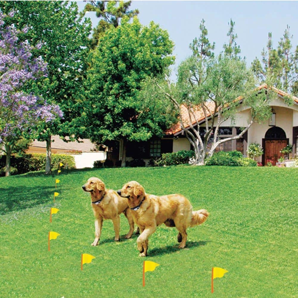 Cheap Bird & Wildlife Supplies Store -Cheap Bird & Wildlife Supplies Store high tech pet fencing systems x 10 31 1000