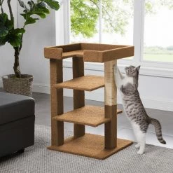 Beige 3-Level Cat Tree Tower, Multi-Level Kitten Tower Play House Activity Center, Kitty Pet House Furniture for Cats by HOMESTOCK 8 Beige 3-Level Cat Tree Tower, Multi-Level Kitten Tower Play House Activity Center, Kitty Pet House Furniture for Cats by HOMESTOCK -Cheap Bird & Wildlife Supplies Store homestock cat trees scratch posts 98736 1f 1000