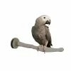 Thermo-Perch Small Bird Perch by K&H Pet Products