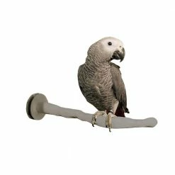 Thermo-Perch Small Bird Perch by K&H Pet Products