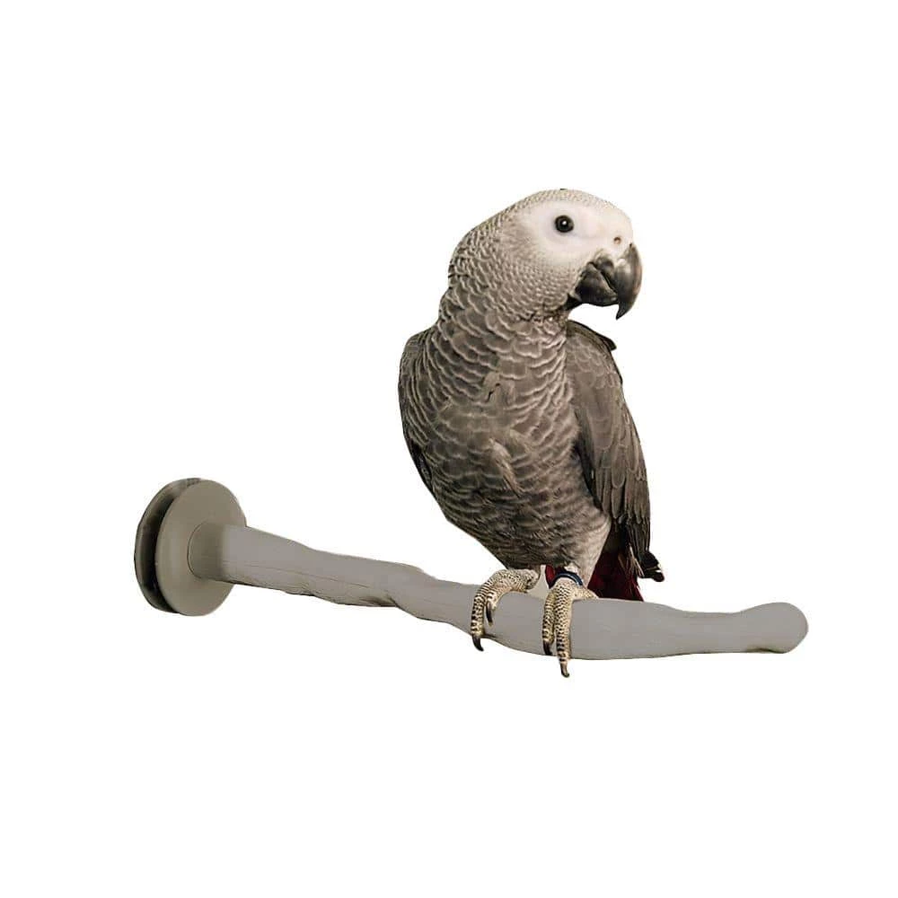 Thermo-Perch Small Bird Perch by K&H Pet Products 1 Thermo-Perch Small Bird Perch by K&H Pet Products