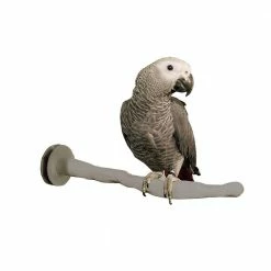 Thermo-Perch Medium Bird Perch by K&H Pet Products