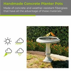 22.8 in. Dia Weathered Concrete Lightweight Traditional Flower Pattern Birdbath by KANTE -Cheap Bird & Wildlife Supplies Store kante accessories rc01098a c80091 4f 1000