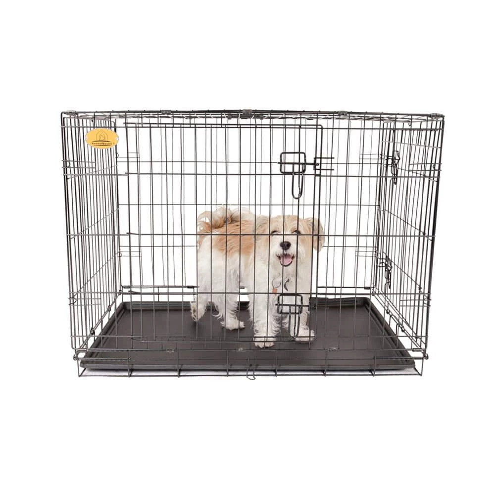 36 in. x 23 in. x 27 in. Medium Wire Dog Crate by KennelMaster 3 36 in. x 23 in. x 27 in. Medium Wire Dog Crate by KennelMaster - Image 3