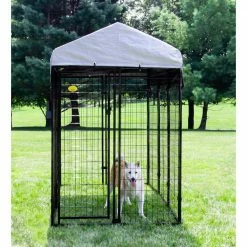 6 ft. x 4 ft. x 6 ft. Welded Wire Dog Fence Kennel Kit by KennelMaster -Cheap Bird & Wildlife Supplies Store kennelmaster dog kennels dk646wc c3 1000