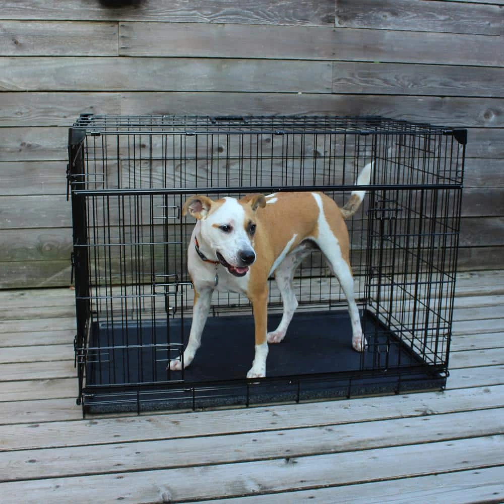 48 in. Sliding Double Door Dog Crate with Patented Corner Stabilizers, Removable Tray, Rubber Feet and Carrying Handle by Lucky Dog 4 48 in. Sliding Double Door Dog Crate with Patented Corner Stabilizers, Removable Tray, Rubber Feet and Carrying Handle by Lucky Dog - Image 4