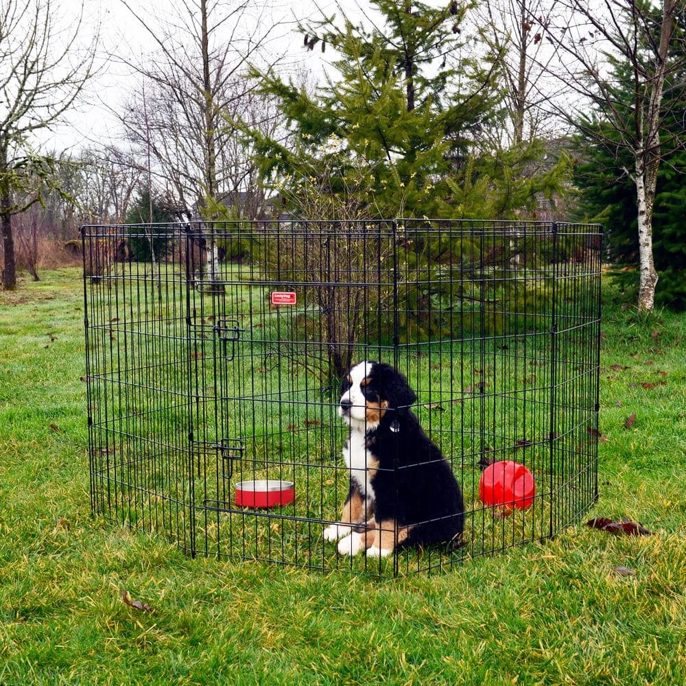 36 in. High Heavy Duty Dog Exercise Pen with Stakes by Lucky Dog 1 36 in. High Heavy Duty Dog Exercise Pen with Stakes by Lucky Dog
