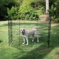 48 in. High Heavy Duty Exercise Pen with Stakes by Lucky Dog