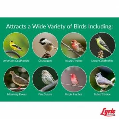 10 lbs. Nyjer Seed Wild Bird Seed Finch Food by Lyric 10 10 lbs. Nyjer Seed Wild Bird Seed Finch Food by Lyric -Cheap Bird & Wildlife Supplies Store lyric bird seed food 2647309 44 1000