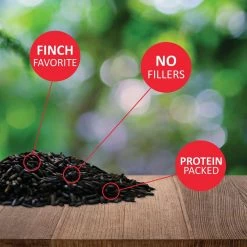 10 lbs. Nyjer Seed Wild Bird Seed Finch Food by Lyric 8 10 lbs. Nyjer Seed Wild Bird Seed Finch Food by Lyric -Cheap Bird & Wildlife Supplies Store lyric bird seed food 2647309 4f 1000