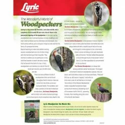 20 lb. Woodpecker No Waste Wild Bird Mix by Lyric -Cheap Bird & Wildlife Supplies Store lyric bird seed food 2647334 31 1000
