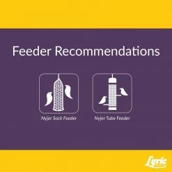 20 lbs. Finch Small Songbird Wild Bird Mix by Lyric 13 20 lbs. Finch Small Songbird Wild Bird Mix by Lyric -Cheap Bird & Wildlife Supplies Store lyric bird seed food 2647337 1f 1000