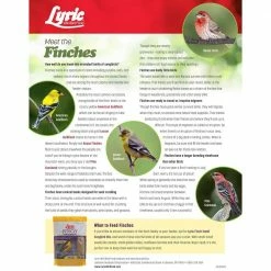 20 lbs. Finch Small Songbird Wild Bird Mix by Lyric 17 20 lbs. Finch Small Songbird Wild Bird Mix by Lyric -Cheap Bird & Wildlife Supplies Store lyric bird seed food 2647337 31 1000