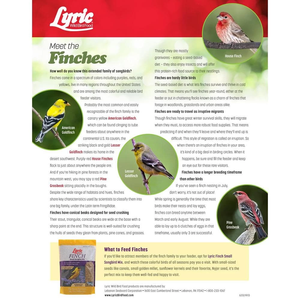 20 lbs. Finch Small Songbird Wild Bird Mix by Lyric 9 20 lbs. Finch Small Songbird Wild Bird Mix by Lyric - Image 9
